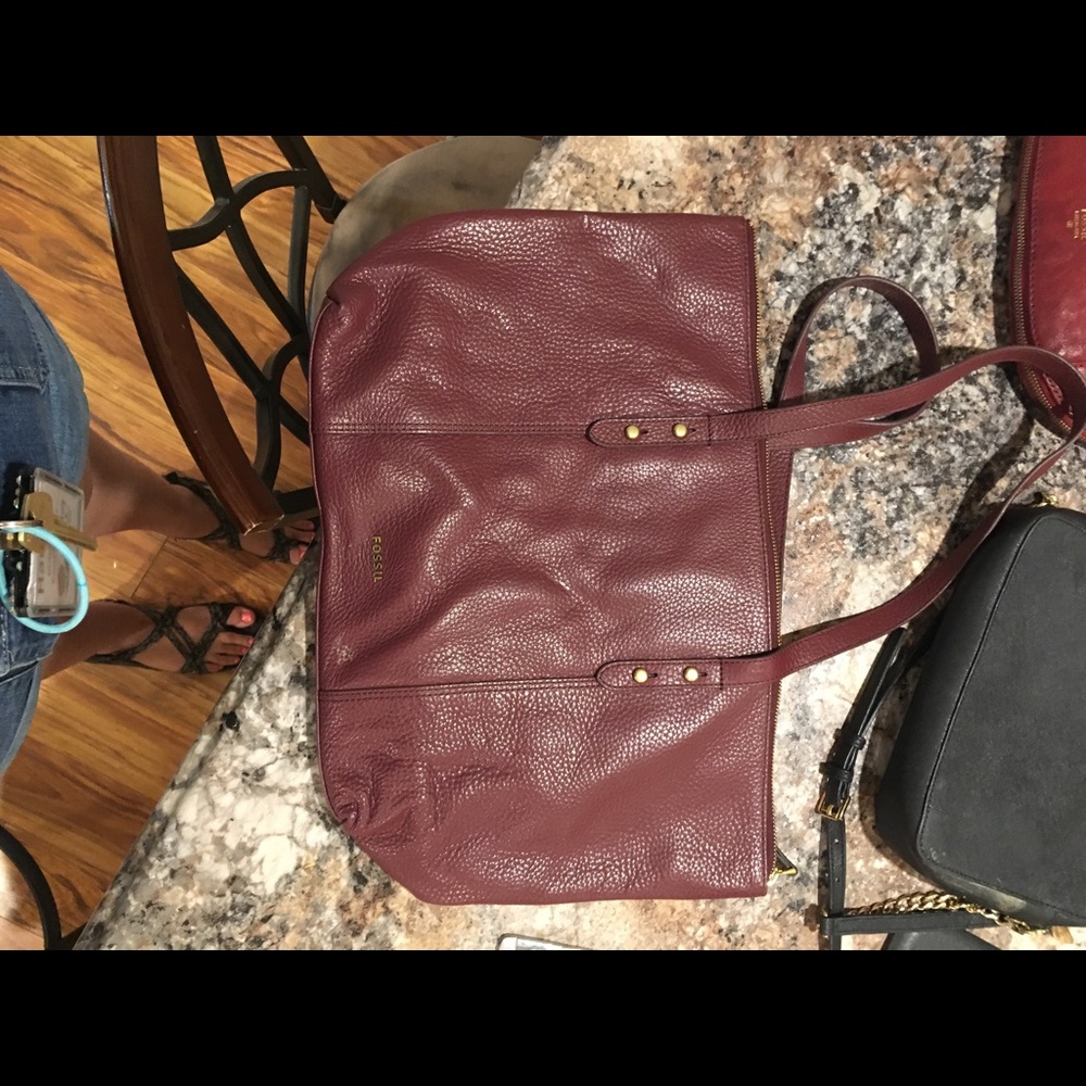 Large Fossil Bag